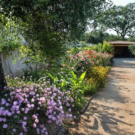 Girasole Villa Limni  Dış mekan fotoğraf