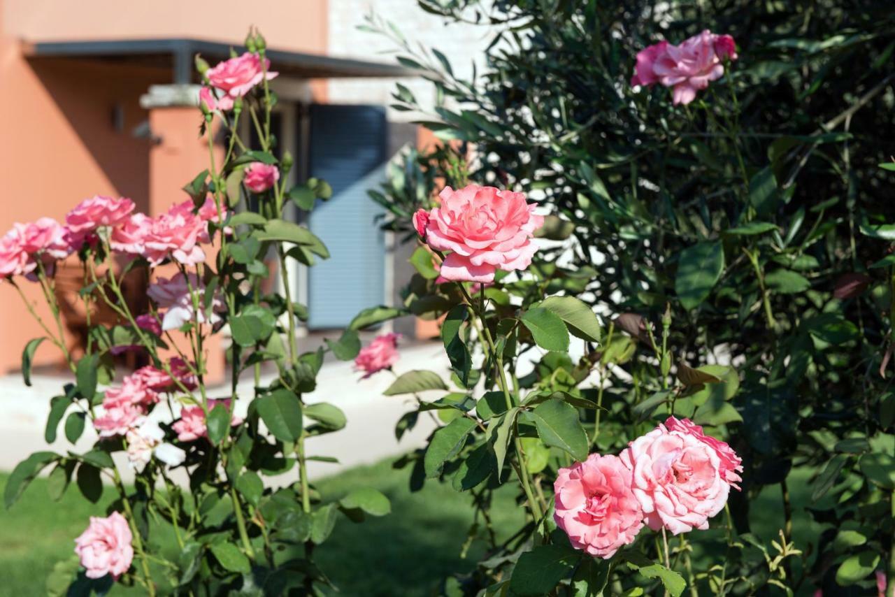 Girasole Villa Limni  Dış mekan fotoğraf